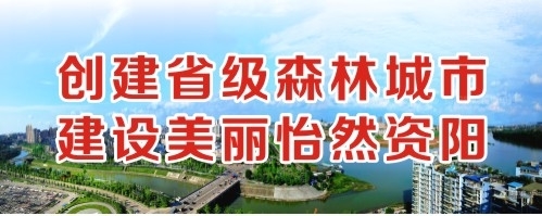 鸡巴操小骚逼创建省级森林城市 建设美丽怡然资阳