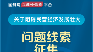 免费美女穿白丝吊逼国务院“互联网+督查”平台公开征集阻碍民营经济发展壮大问题线索